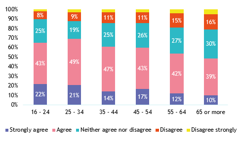 Motivations by age chart